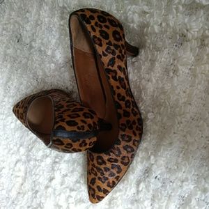 Clark's fur cover heels